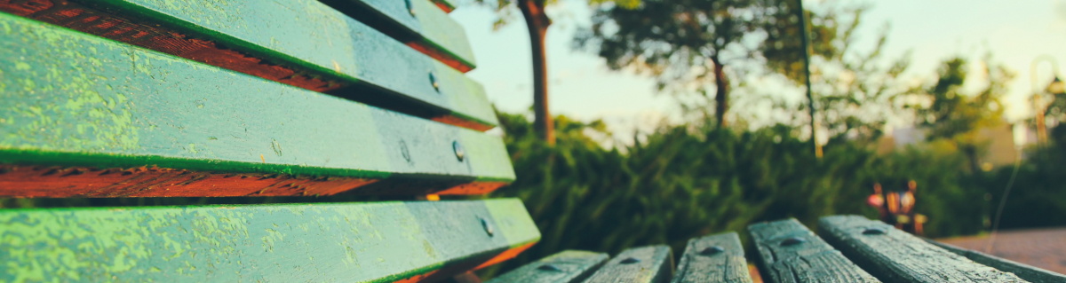 Close,Up,Of,Green,Wooden,Bench,In,Urban,Park,During
